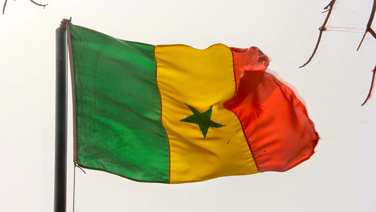 Nouvelle cession de Tigo, objection catégorique de Wari — Sénégal Nouvelle cession de Tigo, objection catégorique de Wari — Sénégal